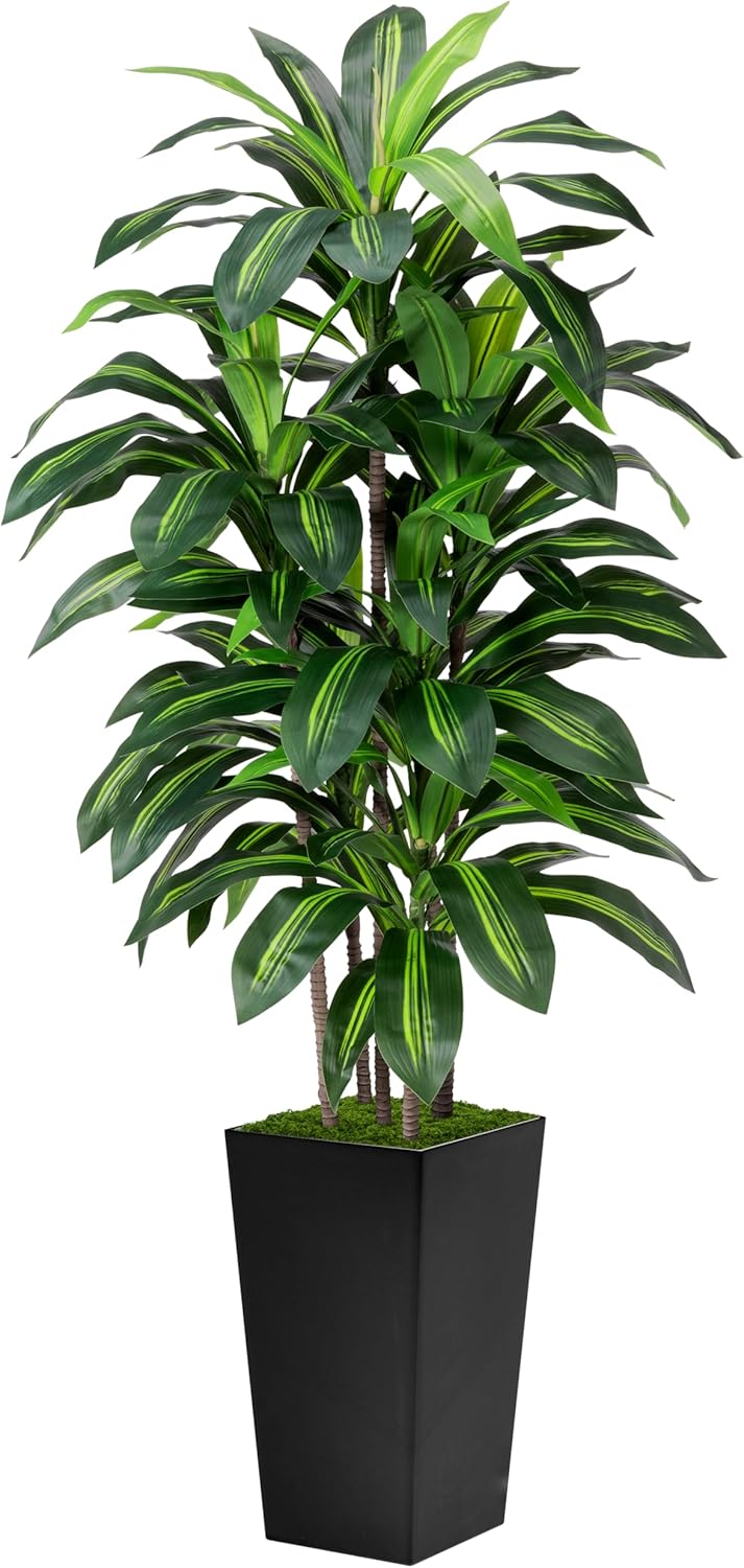 Artificial Dracaena Tree - 5 ft with Tall Black Planter
