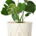 Ceramic Plant Pots with Saucers
