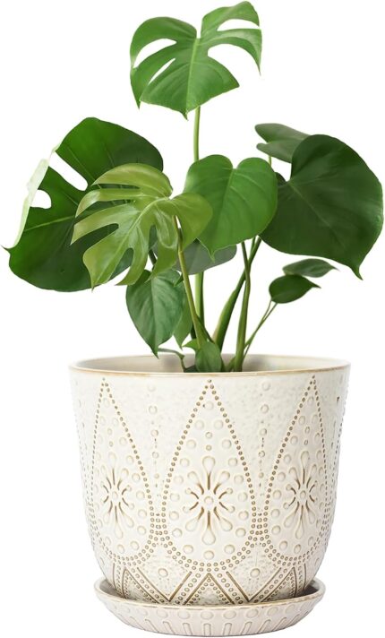 Ceramic Plant Pots with Saucers