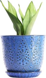 Ceramic Plant Pots with Saucers