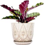 Ceramic Plant Pots with Saucers