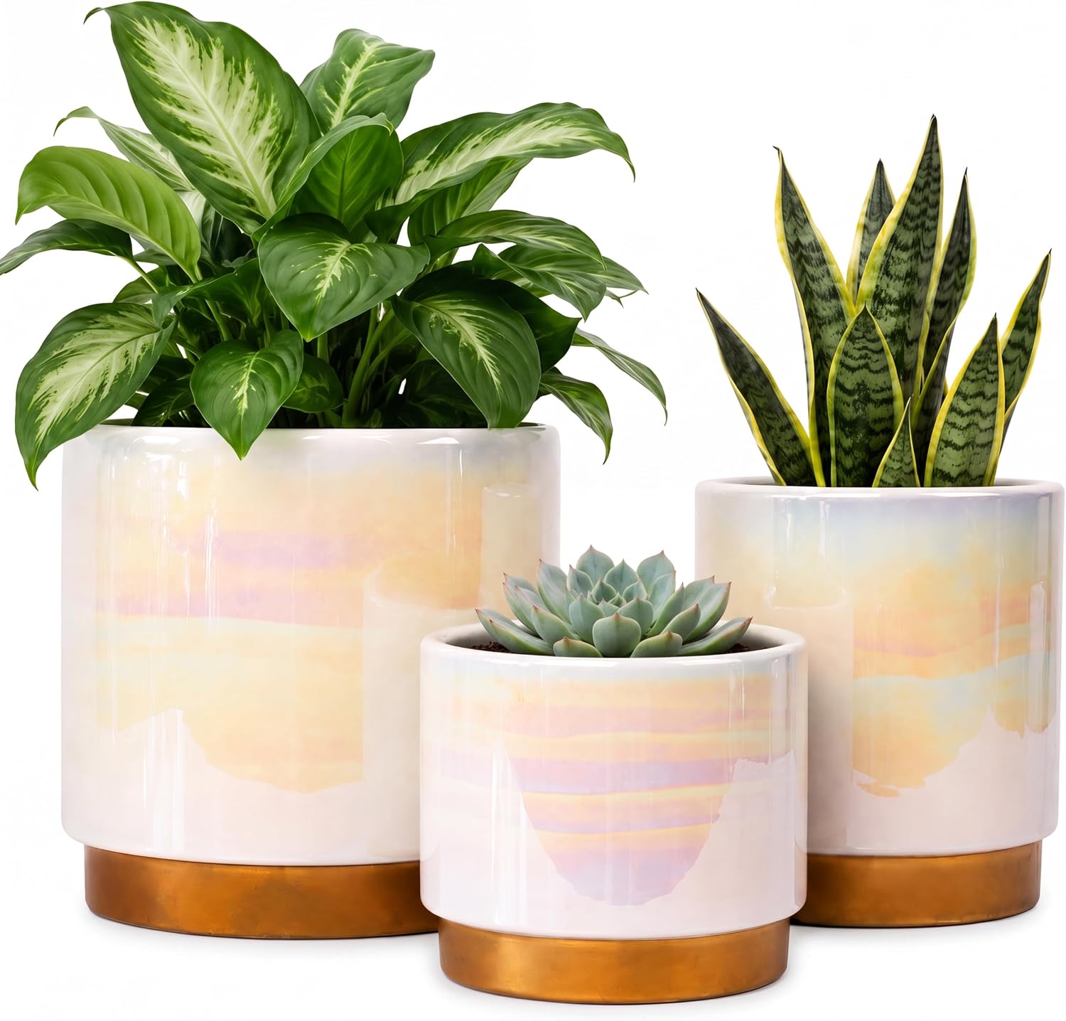 Ceramic Planters with Rubber Stoppers — Set of 3, with Drainage