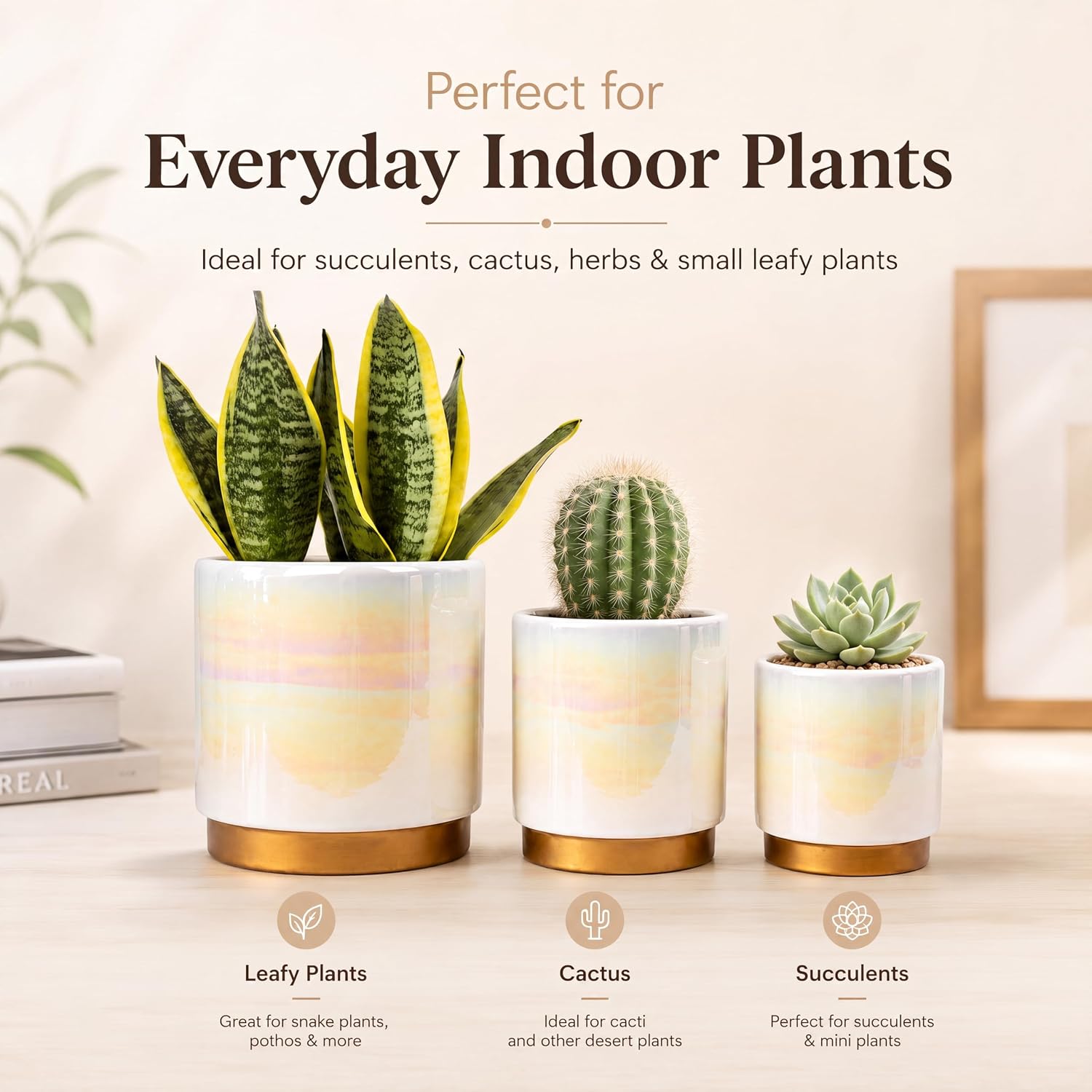 Ceramic Planters with Rubber Stoppers — Set of 3, with Drainage