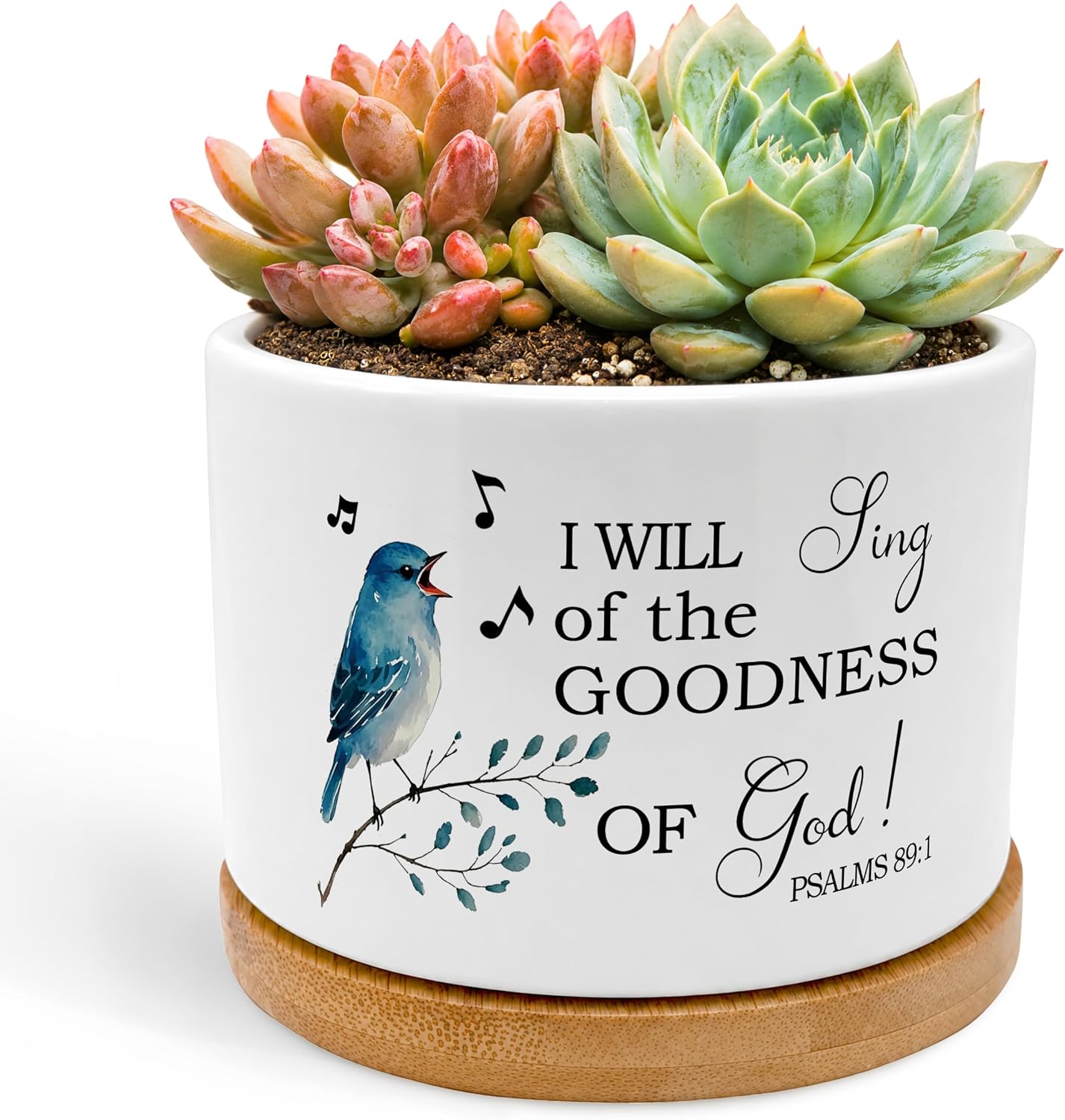 Ceramic Succulent Planter — Bird and Verse Design (No Plants)