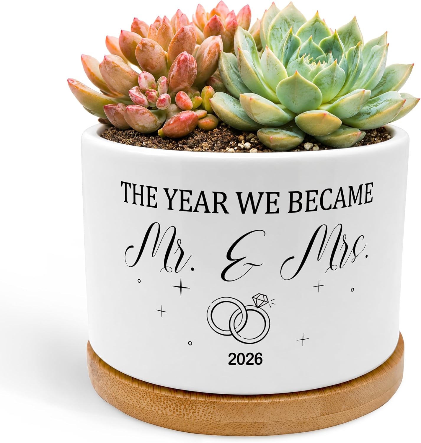 Ceramic Planters