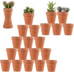 Unglazed Terracotta Pots in Natural Clay for Seedlings