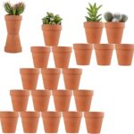 Unglazed Terracotta Pots in Natural Clay for Seedlings