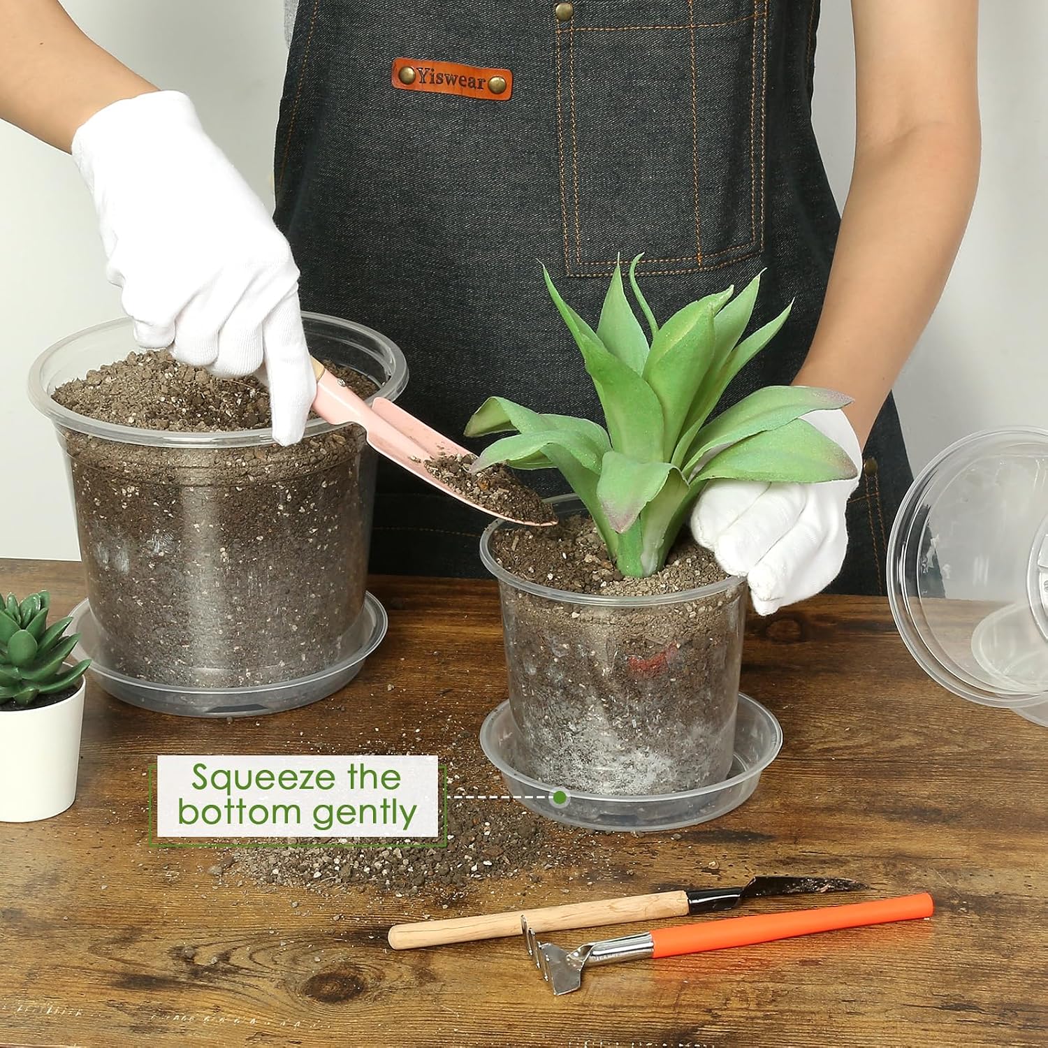 Clear Nursery Pots with Saucers — 20 Pack, 4 to 7 in