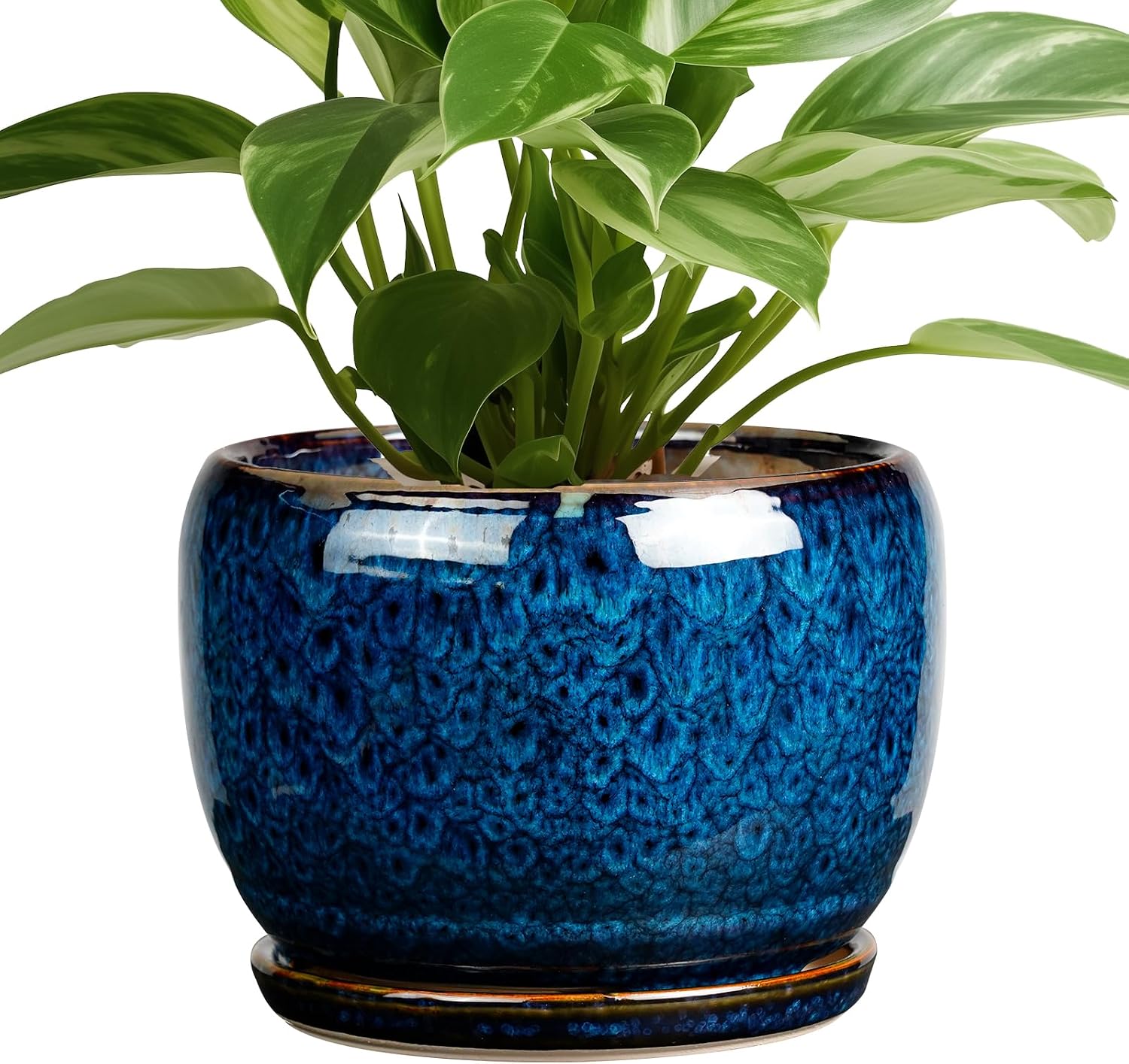 Glazed Ceramic Planter with Saucer — 8 in, Blue