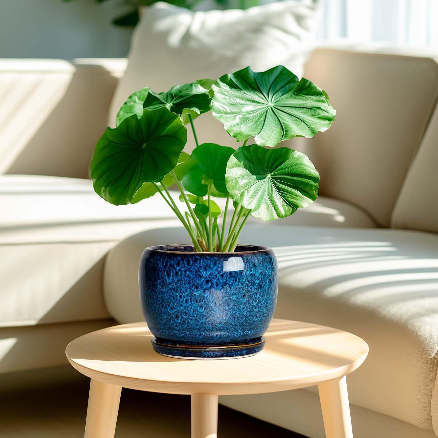 Glazed Ceramic Planter with Saucer — 8 in, Blue