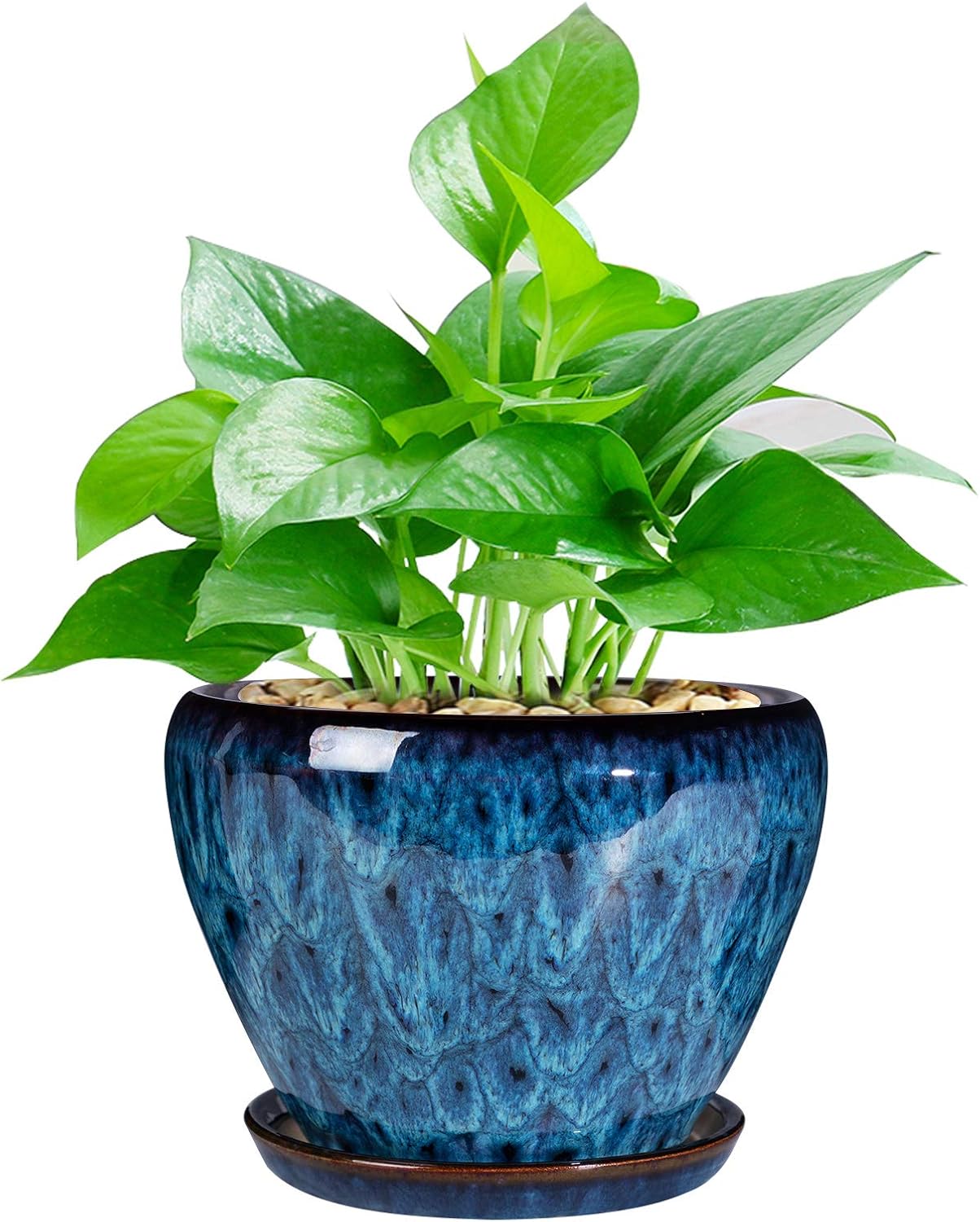 Glazed Succulent Planter with Saucer — 6 in, Round