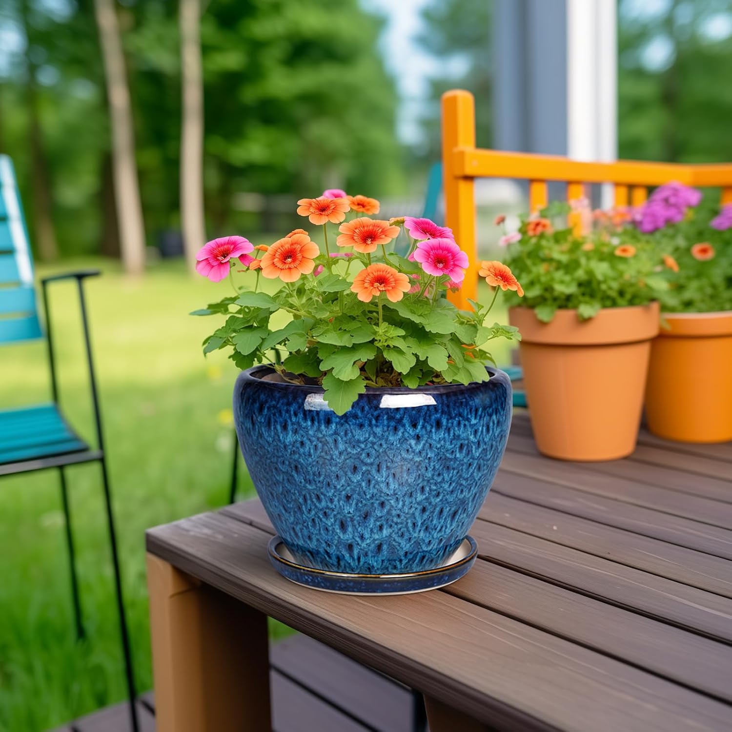 Glazed Succulent Planter with Saucer — 6 in, Round