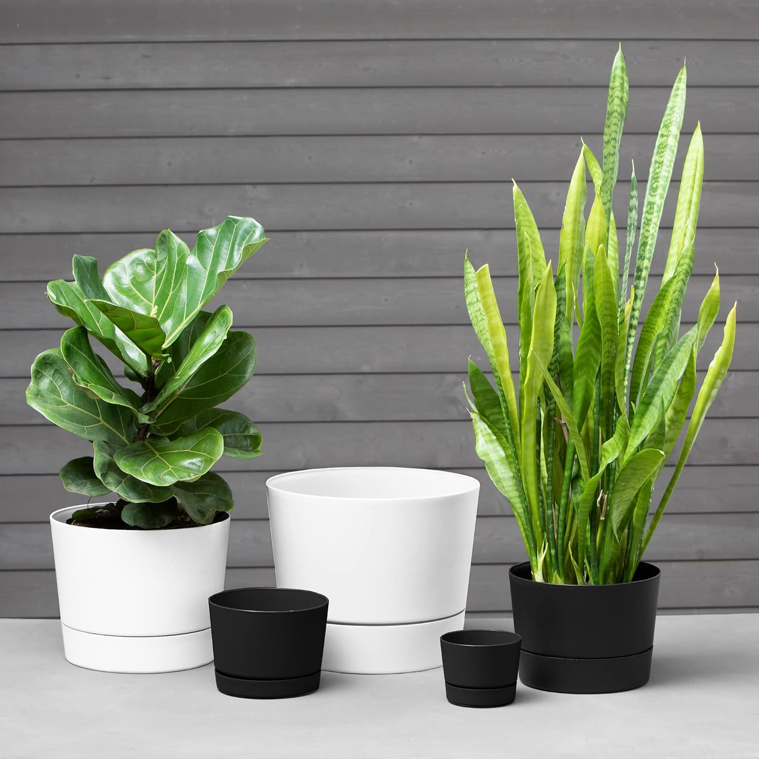 Low-Profile Cylinder Planter — 6.5 in, Matte White