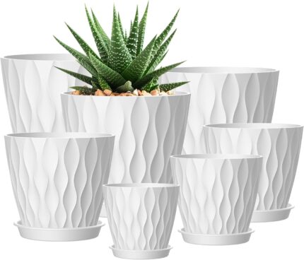 Plant Pots with Trays