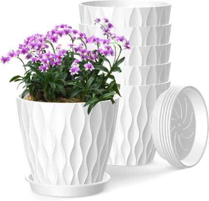 Plant Pots with Trays
