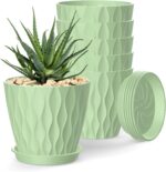 Plant Pots with Trays