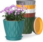 Plant Pots with Trays