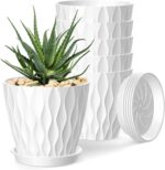 Plant Pots with Trays