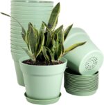 Plastic Plant Pots with Drainage and Matching Trays