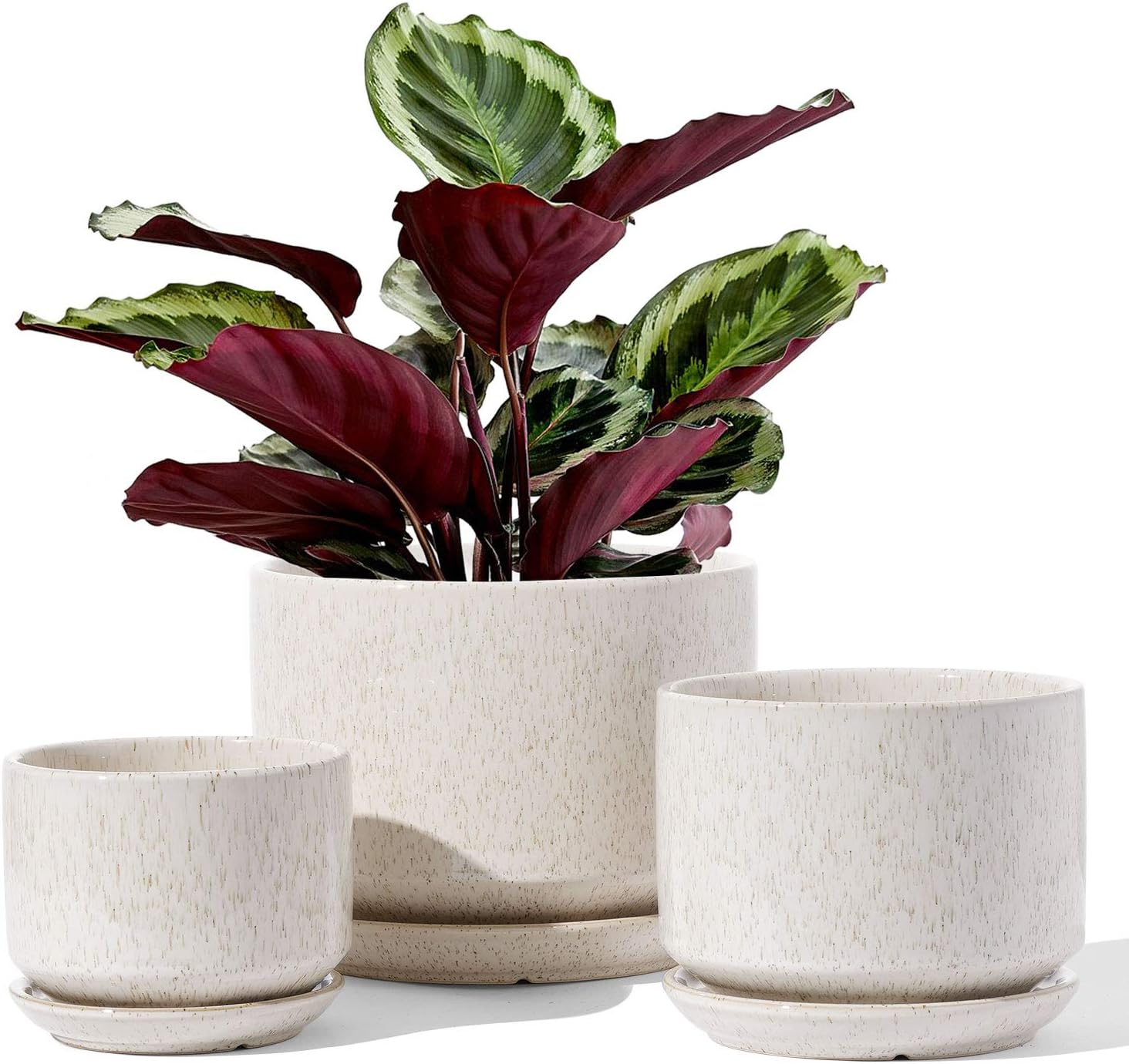 Reactive Glaze Ceramic Planters — Set of 3, 4.3/5.3/6.8 in, Beige