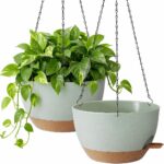 Self Watering Hanging Planter