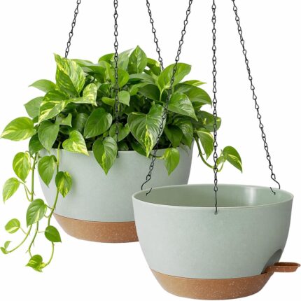 Self Watering Hanging Planter