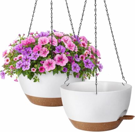 Self Watering Hanging Planter