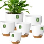 Self-Watering Plant Pot that Feeds Water to the Roots