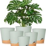 Self Watering Plant Pot