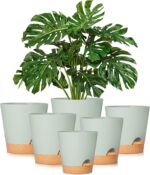 Self Watering Plant Pot