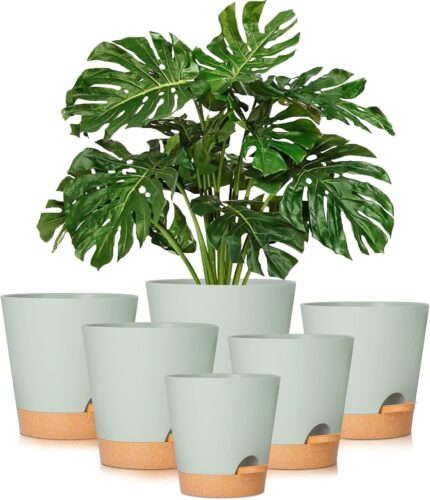 Self Watering Plant Pot