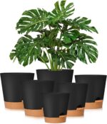 Self Watering Plant Pot