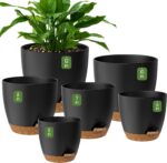 Self-Watering Plant Pot that Feeds Water to the Roots