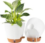 Self-Watering Planter Pot with Water Level Indicator
