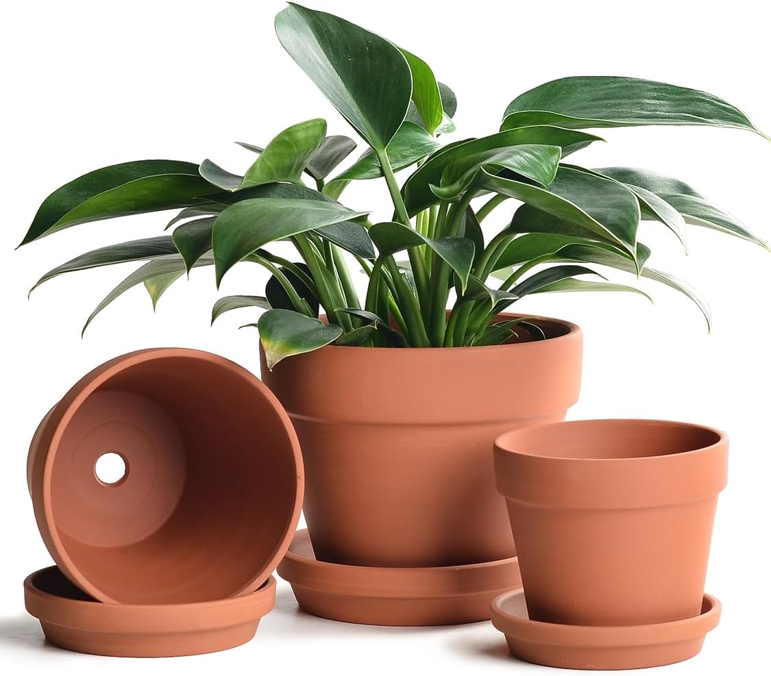 Terracotta Clay Planters with Saucers — Set of 3, 5/6/7 in
