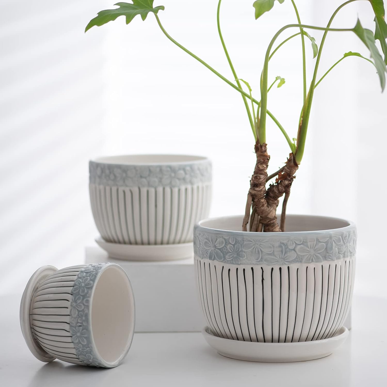Textured Ceramic Planters with Saucers — Set of 3, 4/5.5/6.7 in, Grey