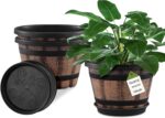 Whiskey Barrel Planter Set